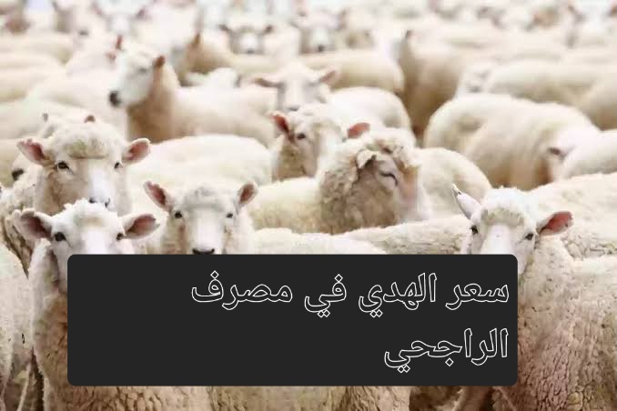 سعر الهدي في مصرف الراجحي