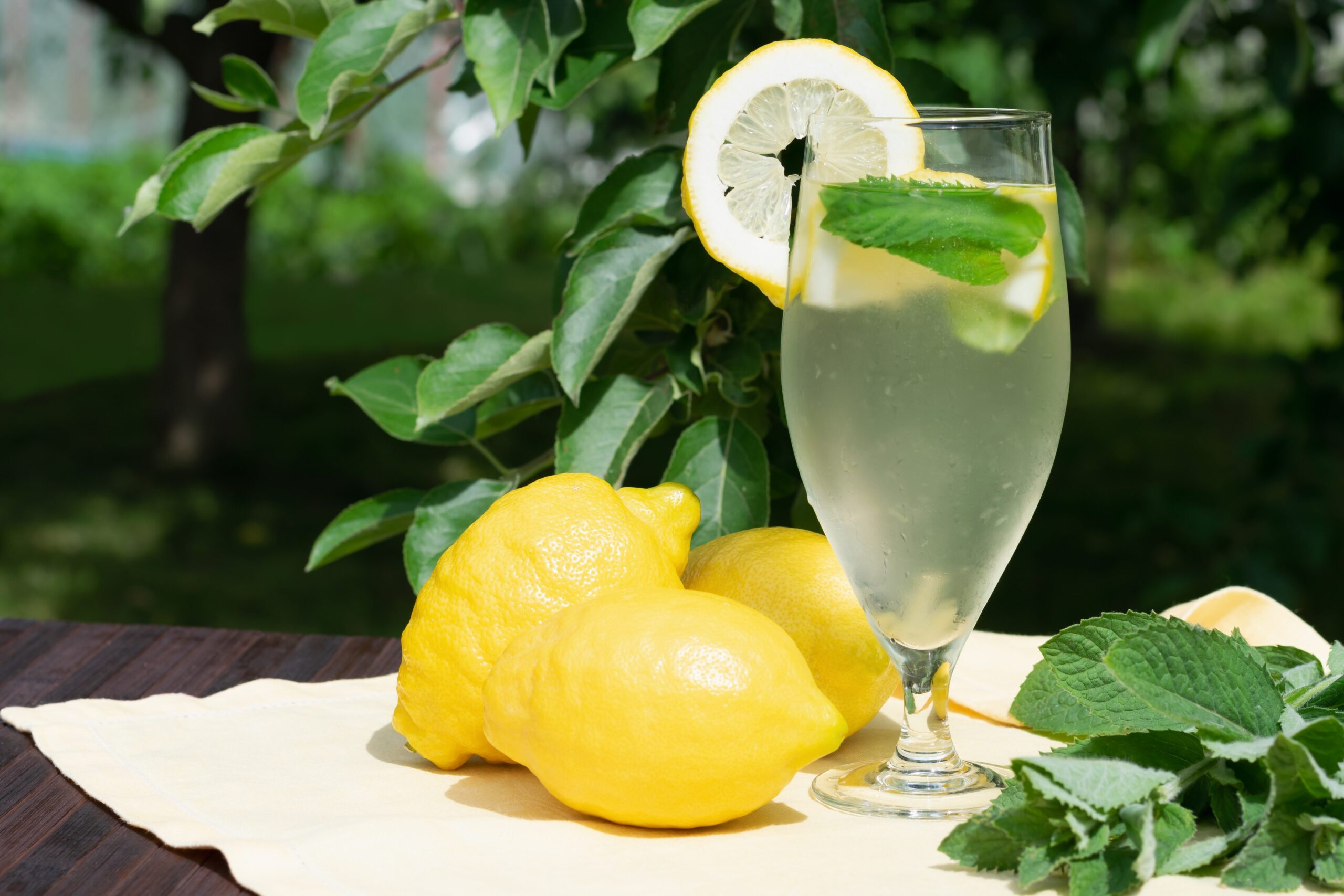 preparation of the lemonade drink lemonade in the 2022 10 31 21 34 15 utc scaled