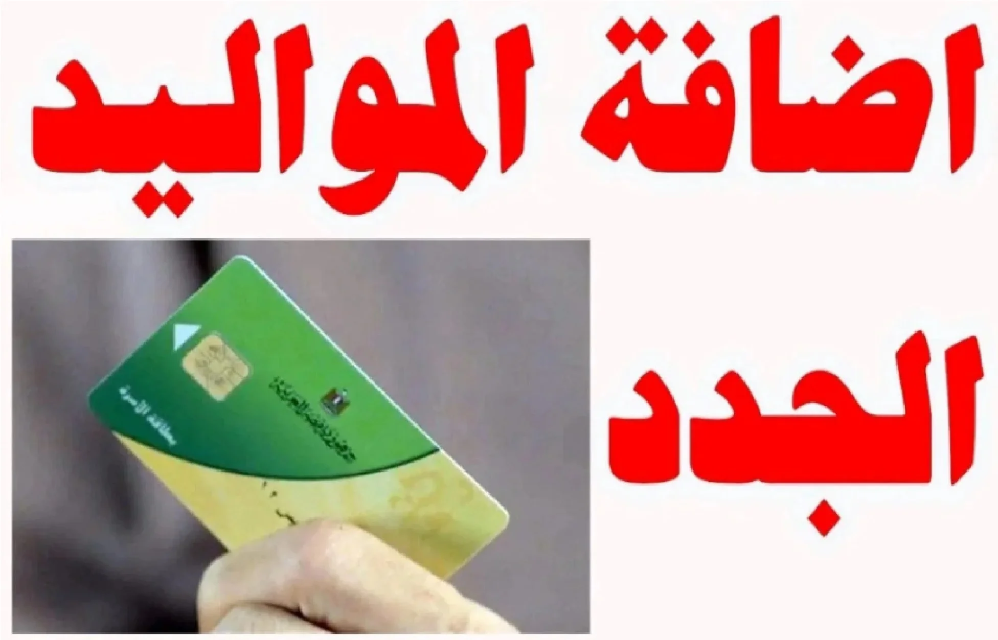 تعرف على خطوات إضافة المواليد الجدد على بطاقة التموين