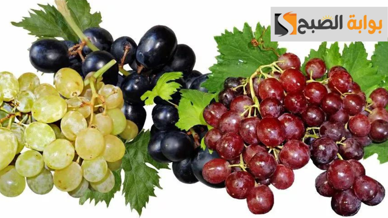أثر تناول العنب على الريق