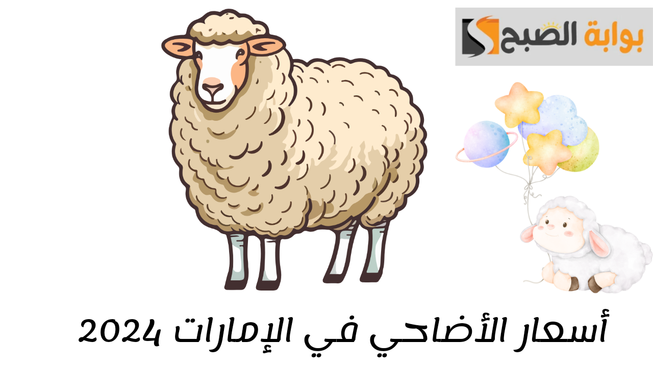 أسعار الأضاحي في الإمارات 2024..  وزارة البلدية والزراعة توضح موعد الذبح