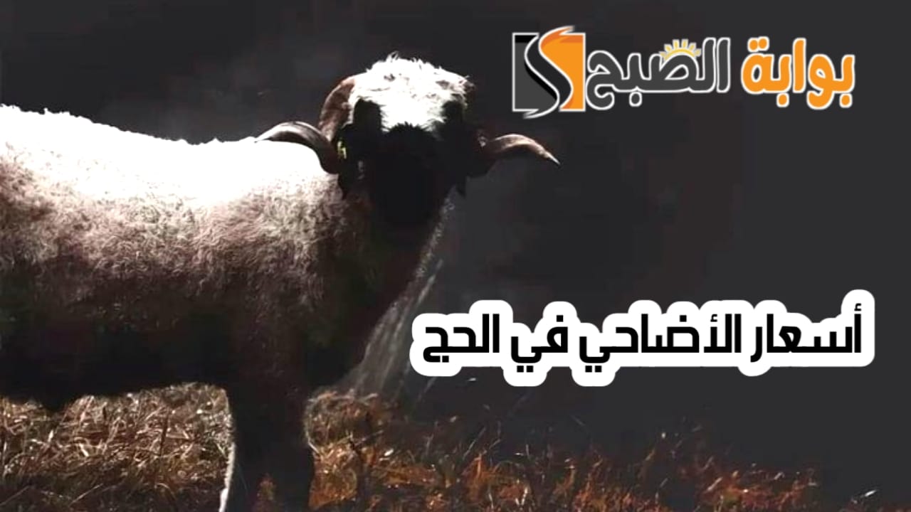 أسعار الأضاحي في الحج