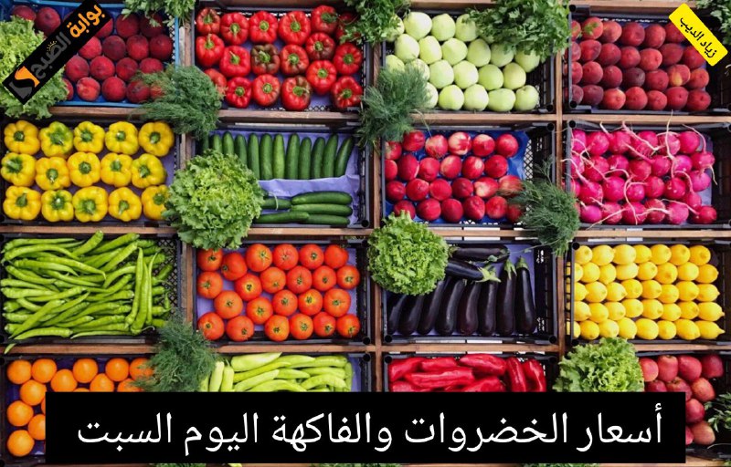 أسعار الخضروات والفاكهة اليوم السبت