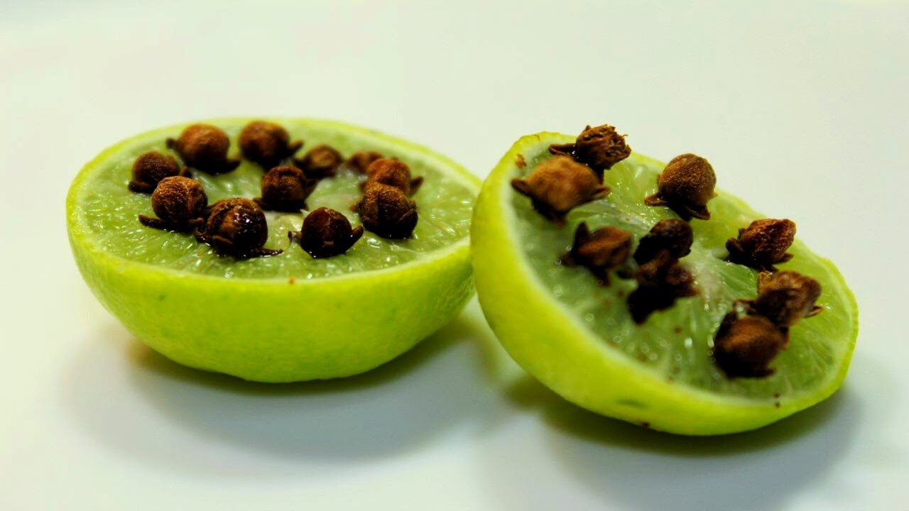 أفضل 3 طرق للتخلص من الذباب