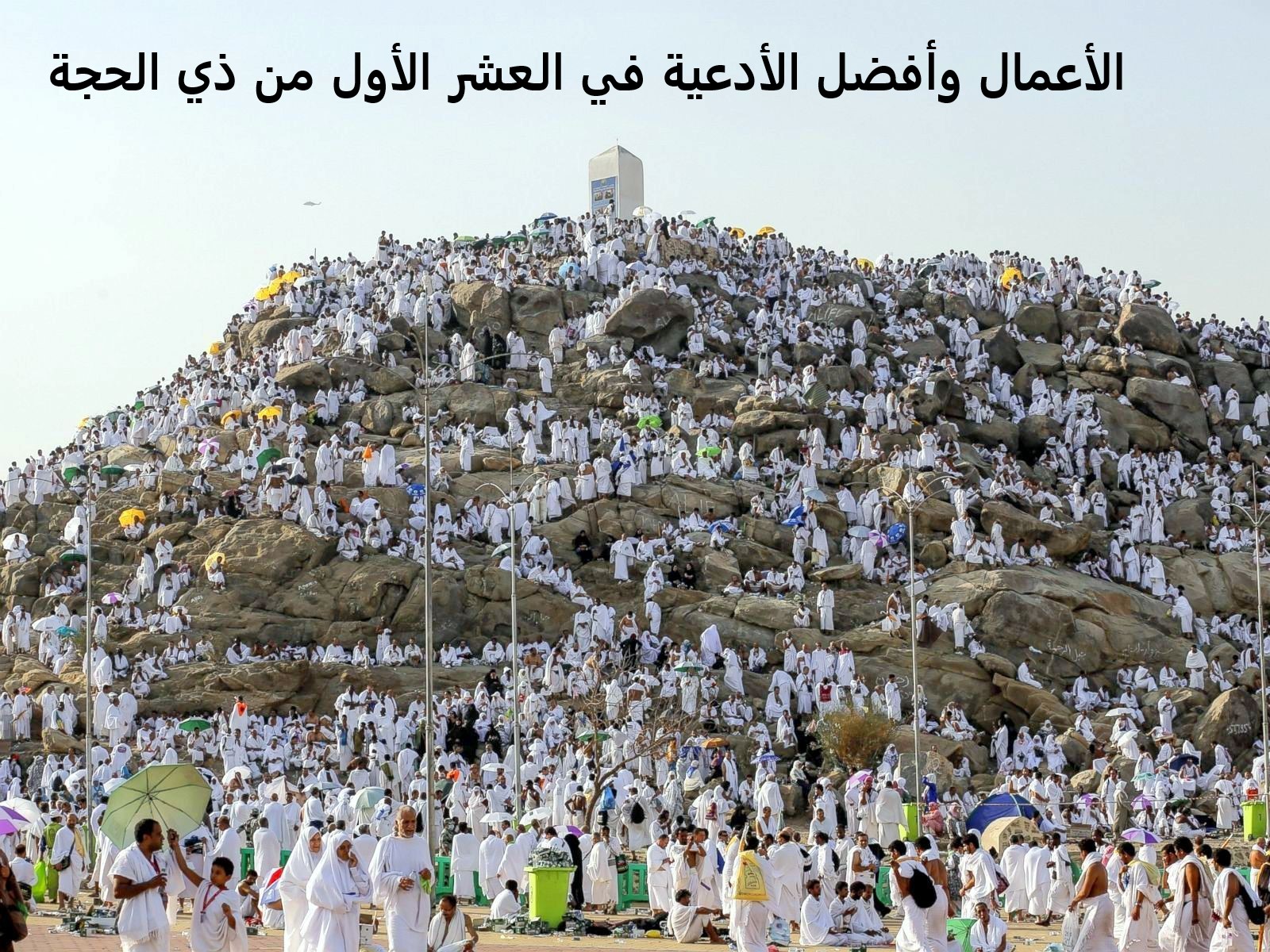 الوظائف الموسمية في حج 1446