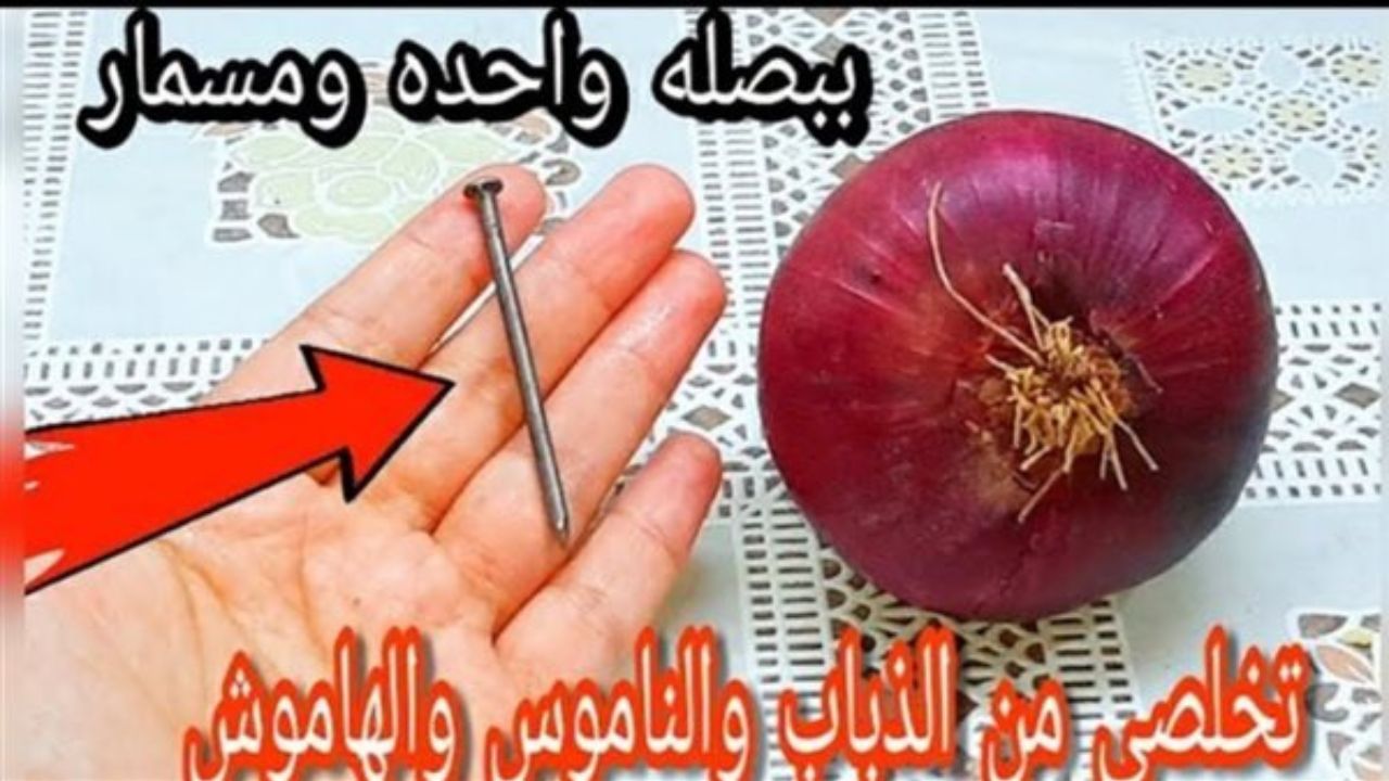 بصلة ومسمار للتخلص من الحشرات