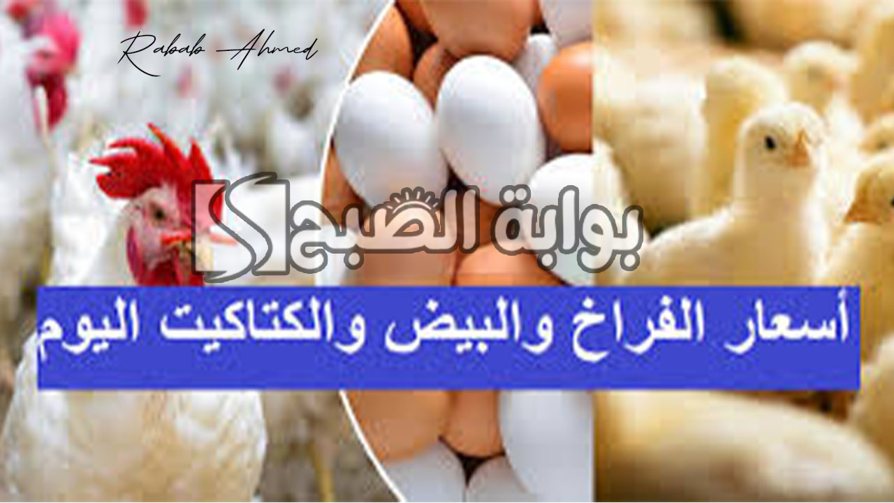 بورصة الدواجن اليوم الفراخ البيضاء