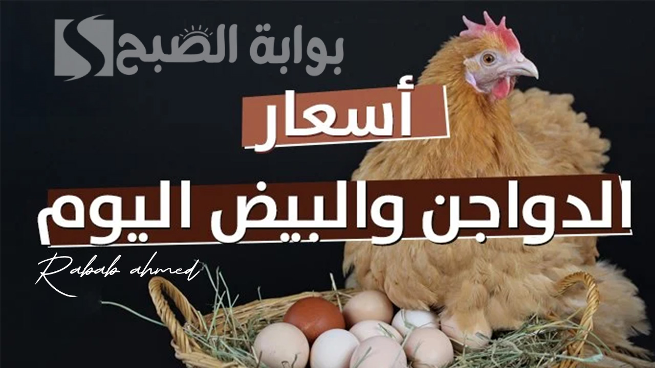 بورصه الدواجن اليوم الفراخ البيضاء