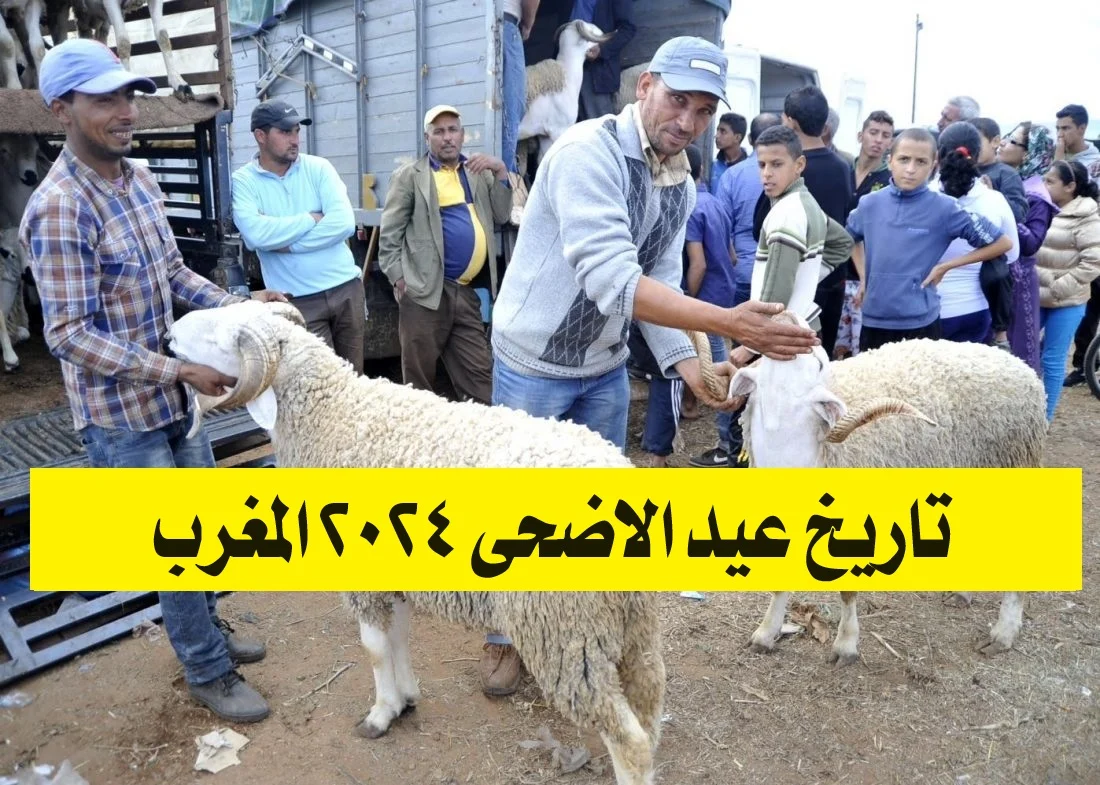 موعد عطلة عيد الأضحى بالمغرب 2024