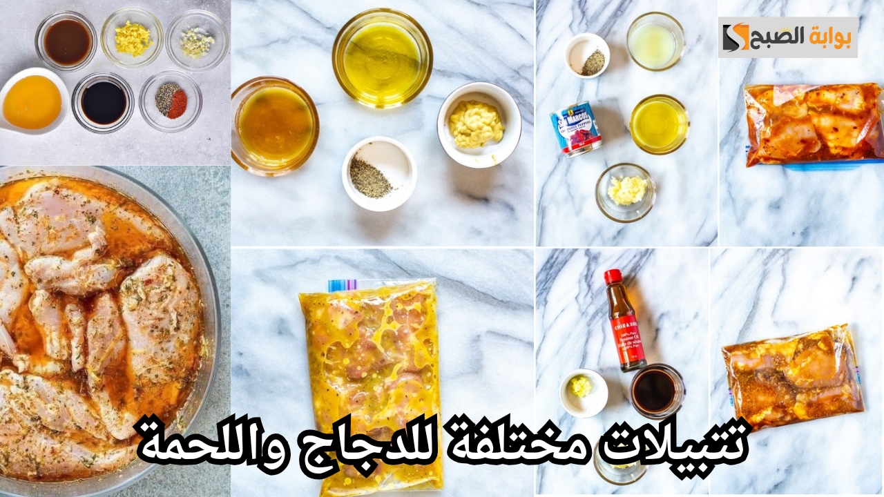 تتبيلات مختلفة للدجاج واللحمة