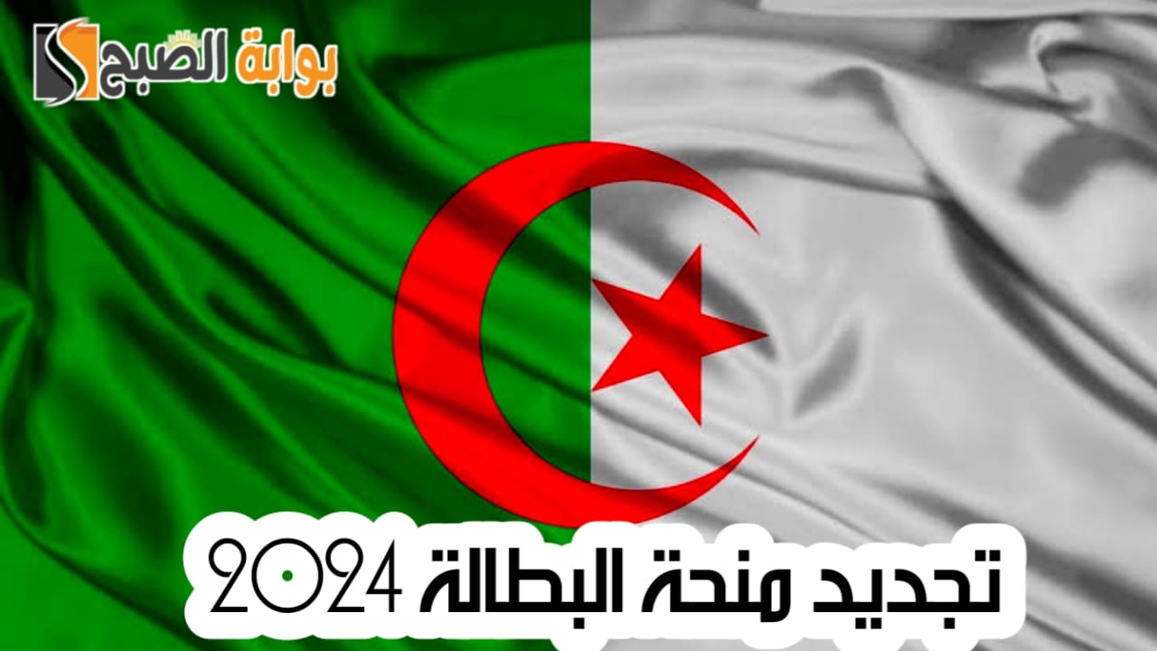تجديد منحة البطالة 2024
