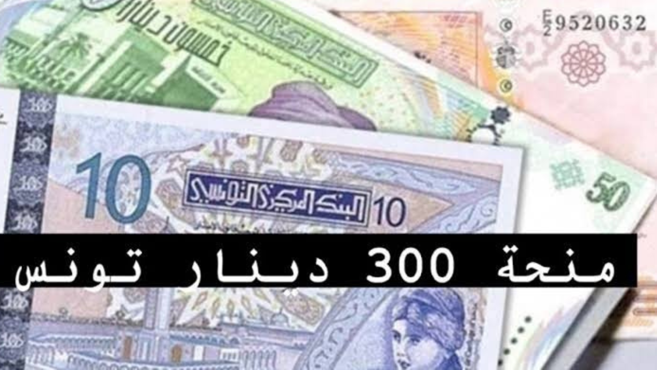منحة 300 دينار 2024 تونس