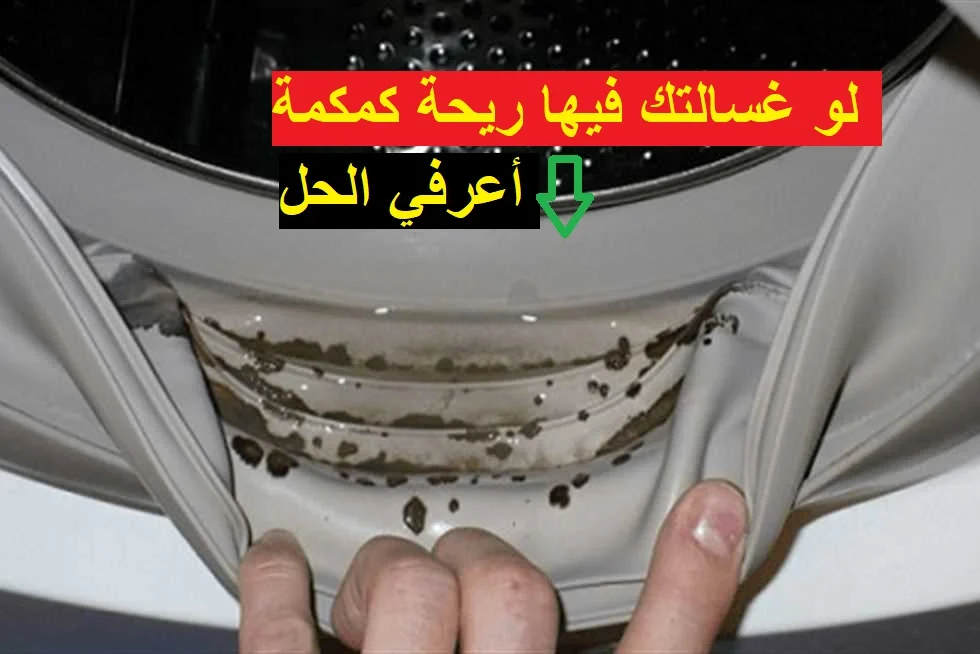 تنظيف الغسالة الاوتوماتيك من رائحة الكمكمة