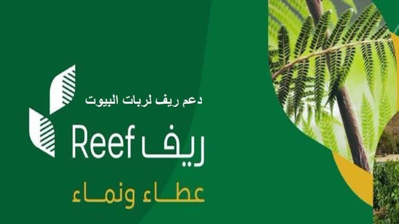 حصول دعم ريف العسل