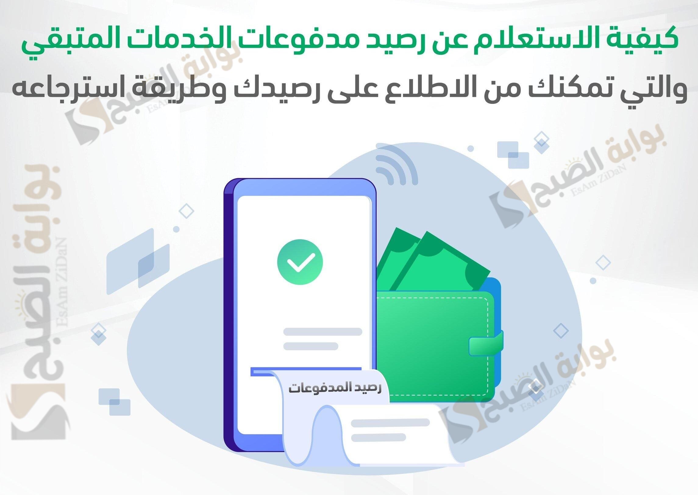 خطوات استعلام مدفوعات الجوازات وكيفية معرفة رصيد المدفوعات
