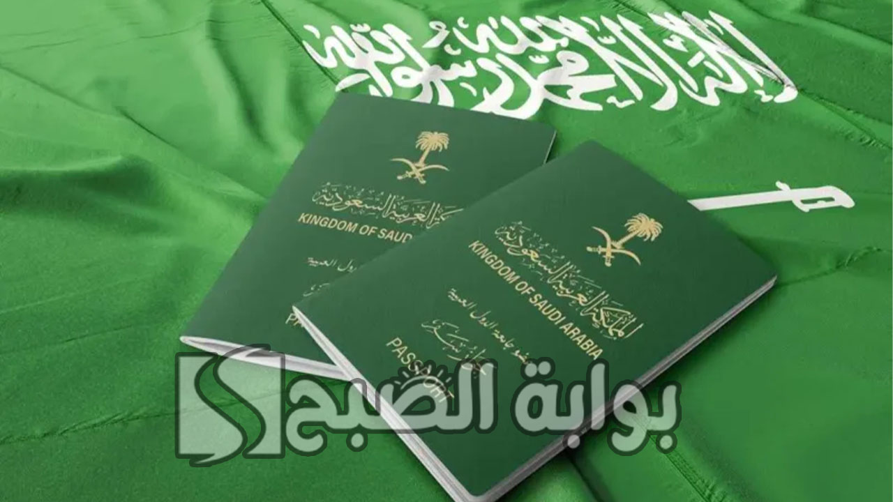 خطوات اصدار جواز السفر الكترونيا