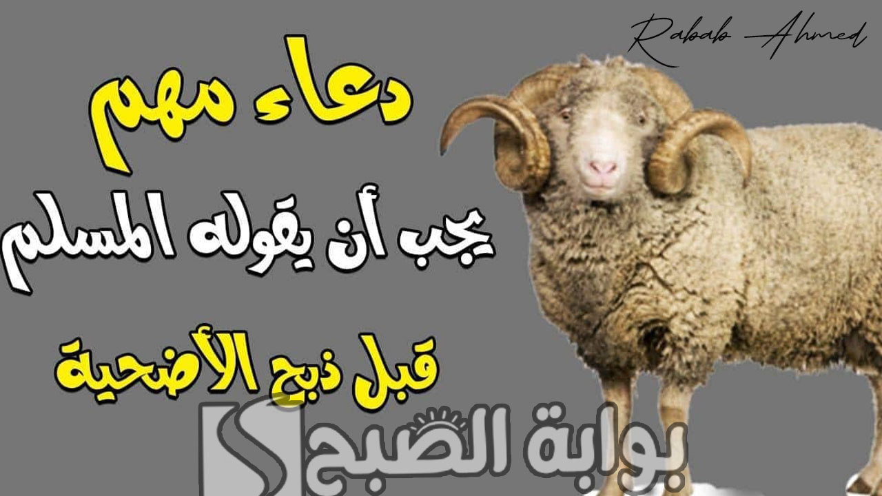 دعاء النحر قبل ذبح الأضاحي