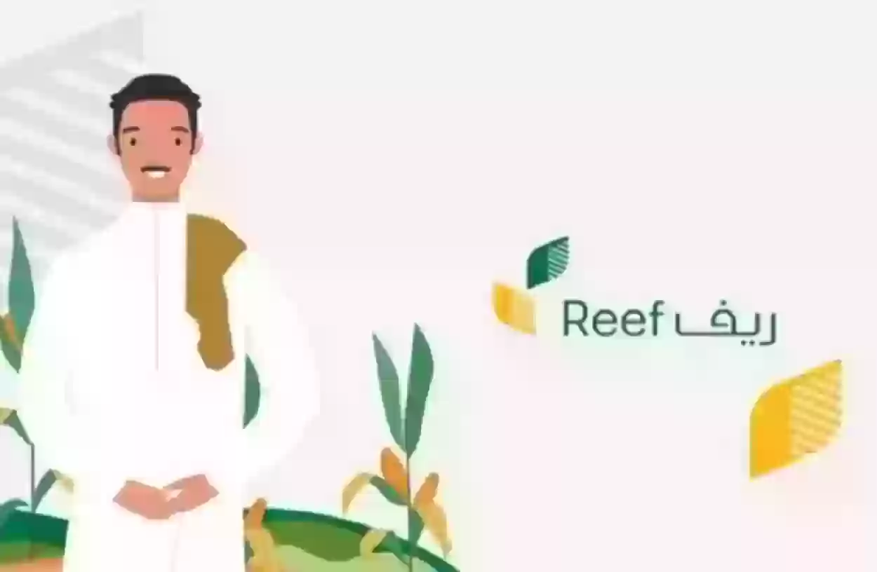رابط الاستعلام عن دعم ريف عبر الموقع الرسمي والشروط المطلوبة للحصول علية