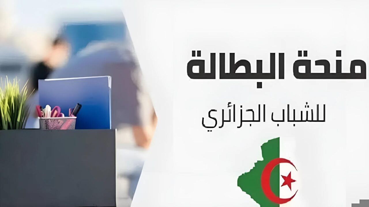رابط تجديد منحة البطالة في الجزائر 2024
