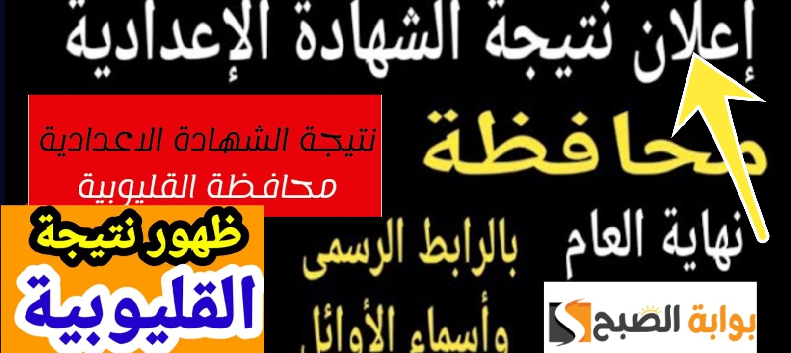 رابط نتيجة الشهادة الاعدادية القليوبية