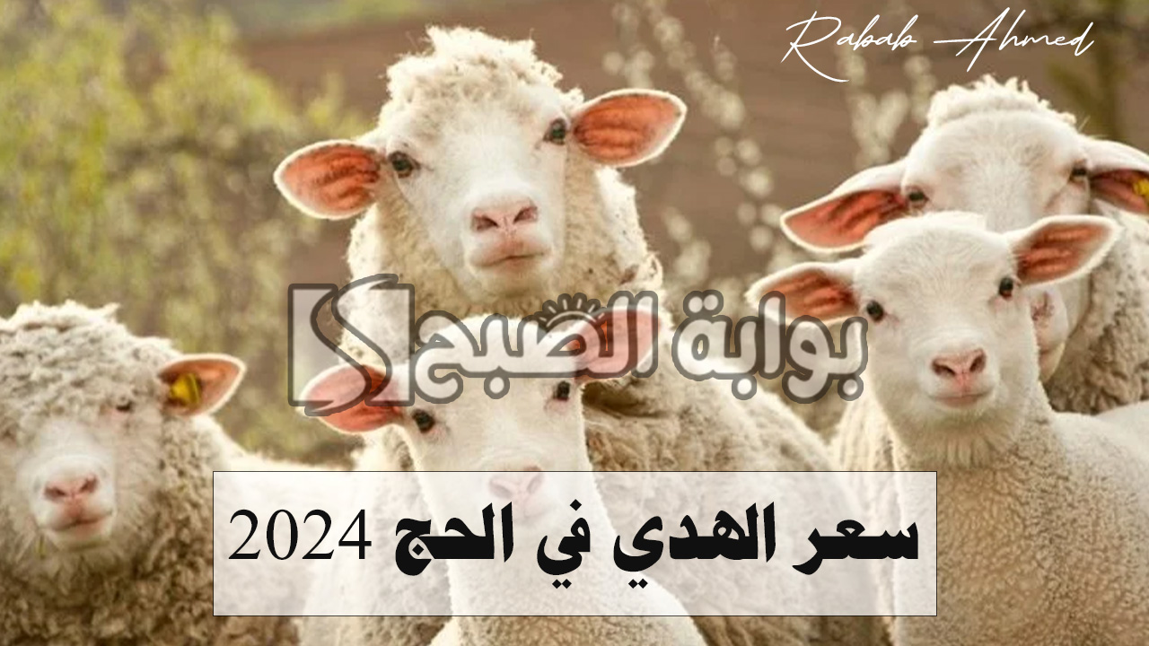 سعر الهدي في الحج 2024
