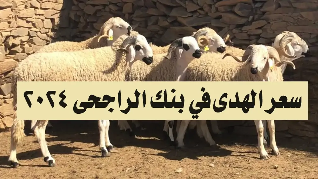 سعر الهدي في بنك الراجحي 2024