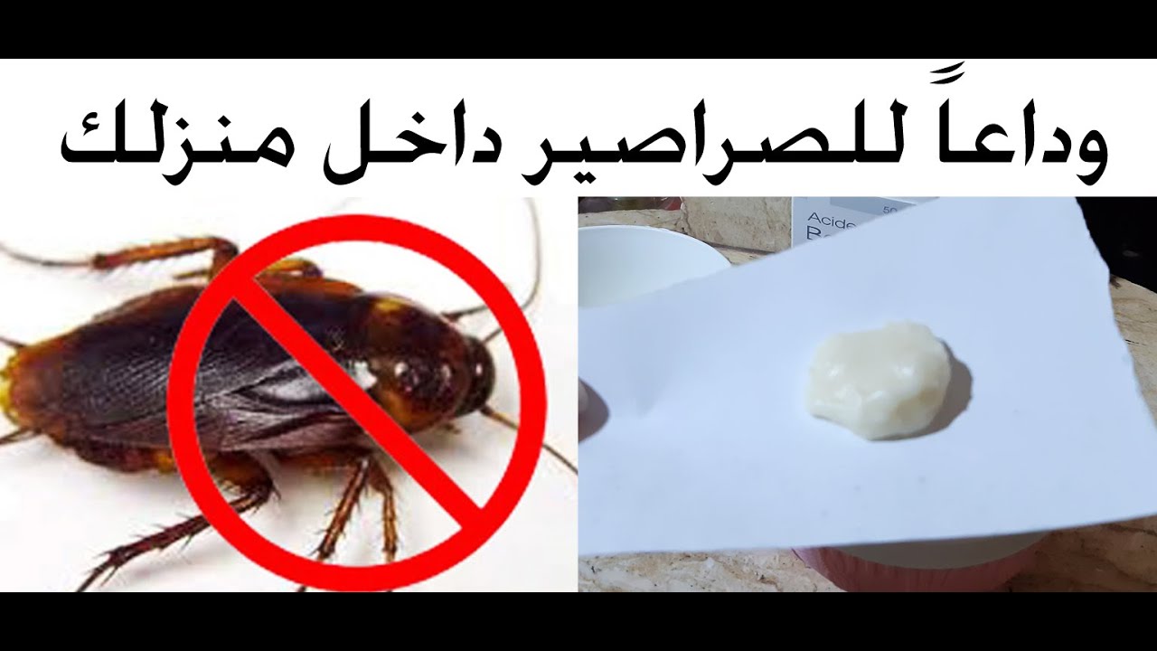 طريقة عمل عجينة الصراصير السحرية