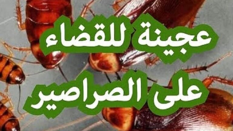 عجينة سحرية للتخلص من الصراصير في المطبخ 768x432 1