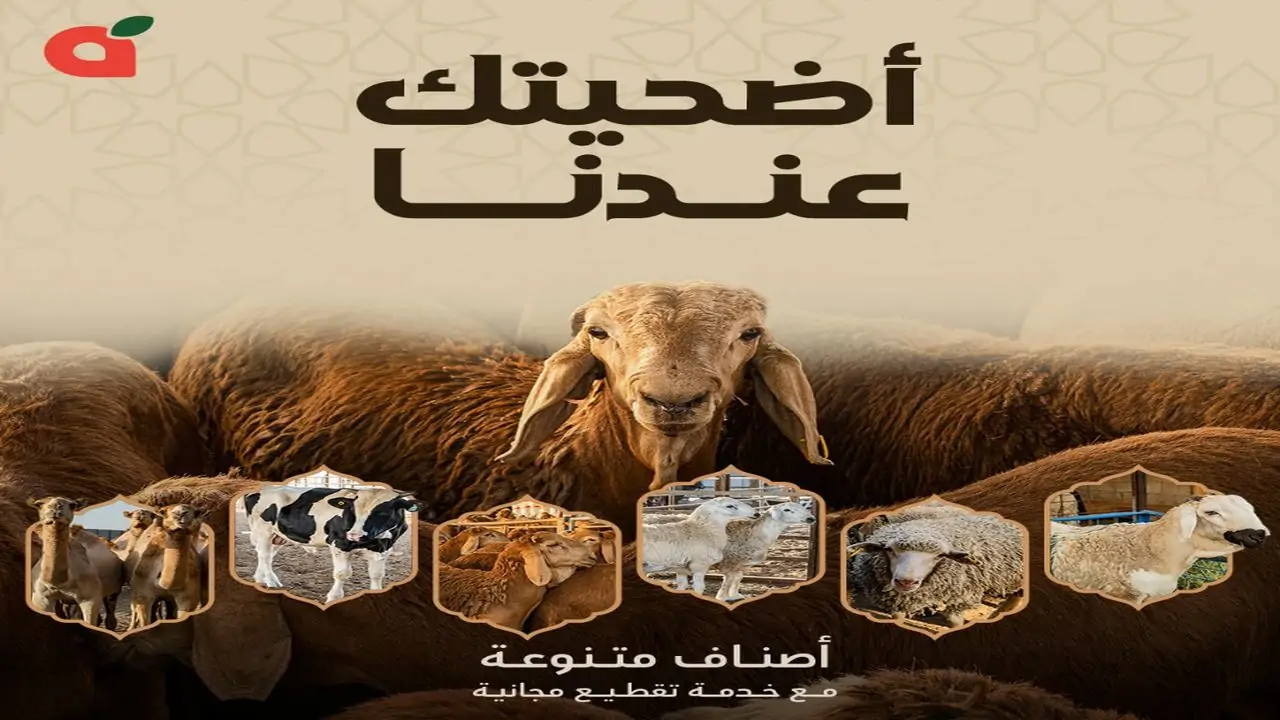 عروض هايبر بنده السعودية لعيد الأضحى 