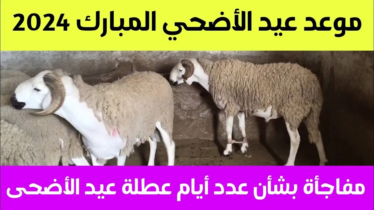 عيد الأضحى