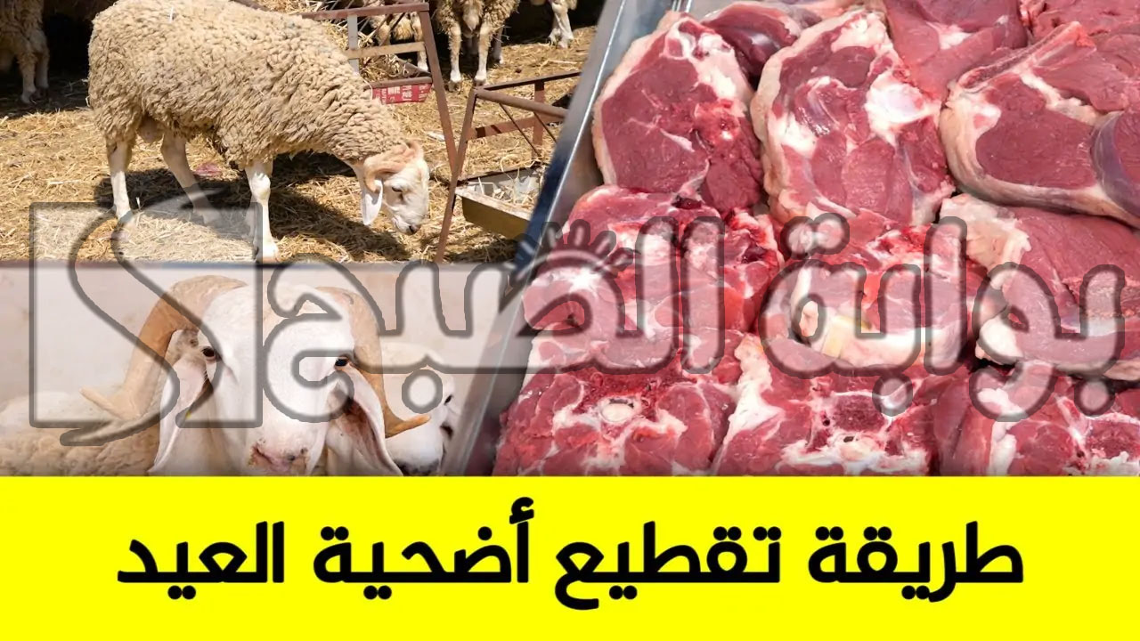 كيفية تقطيع الأضحية بالطريقة الصحيحة