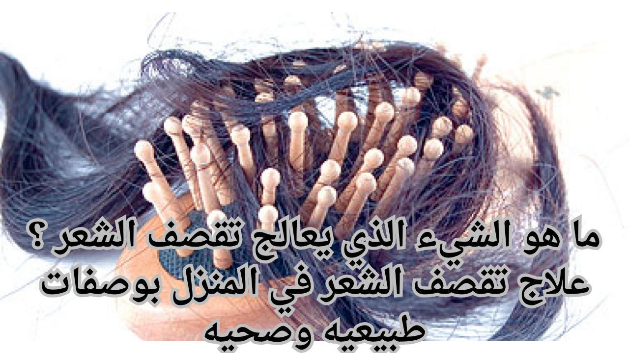 ما هو الشيء الذي يعالج تقصف الشعر ؟ علاج تقصف الشعر في المنزل بوصفات طبيعيه وصحيه