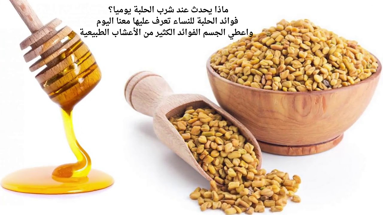 ماذا يحدث عند شرب الحلبة يوميا؟ فوائد الحلبة للنساء تعرف عليها معنا اليوم واعطي الجسم الفوائد الكثير من الأعشاب الطبيعية