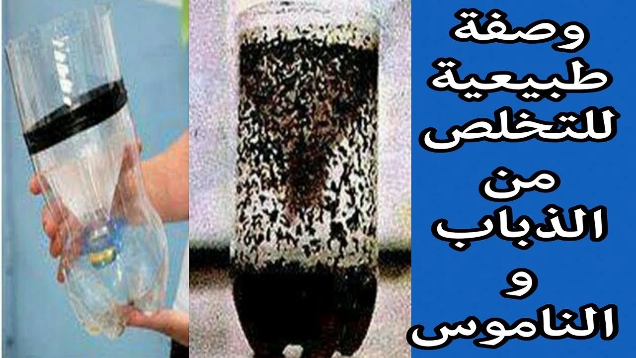 طريقة بسيطة لصنع مصيدة ناموس في البيت