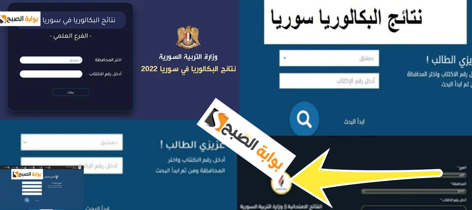 نتائج البكالوريا سوريا 2024