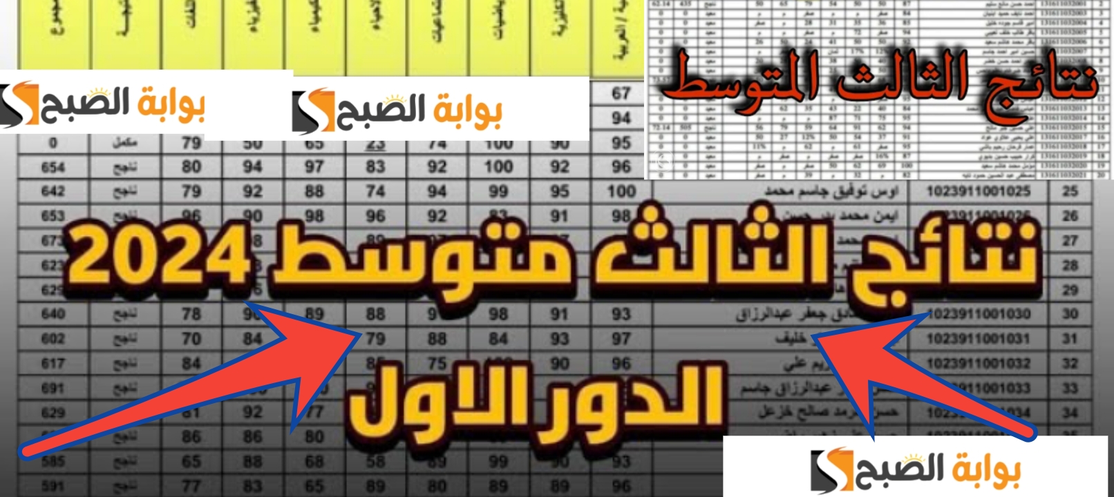 نتائج الثالث المتوسط العراق 2024 دور أول