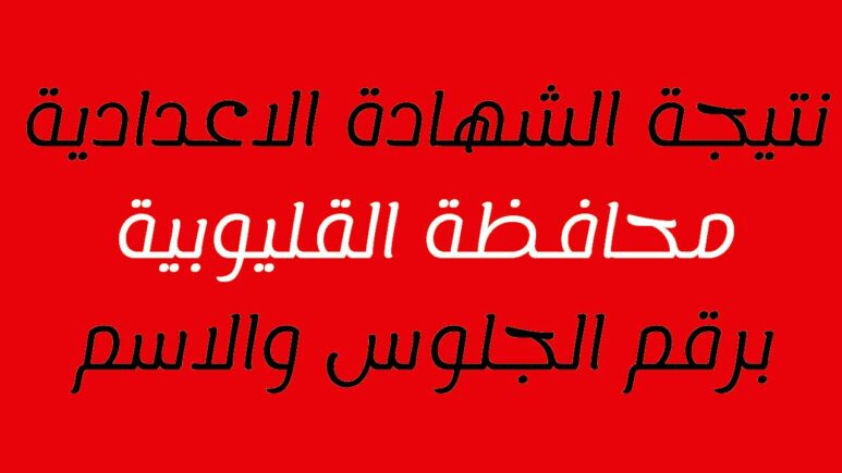 نتيجة إعدادية القليوبية 2024