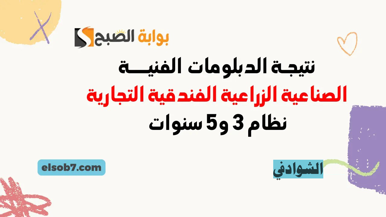 نتيجة الدبلومات الفنية