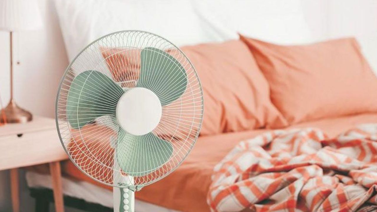 نصائح عليك اتباعها لسلامة المروحة في البيت طوال فصل الصيف