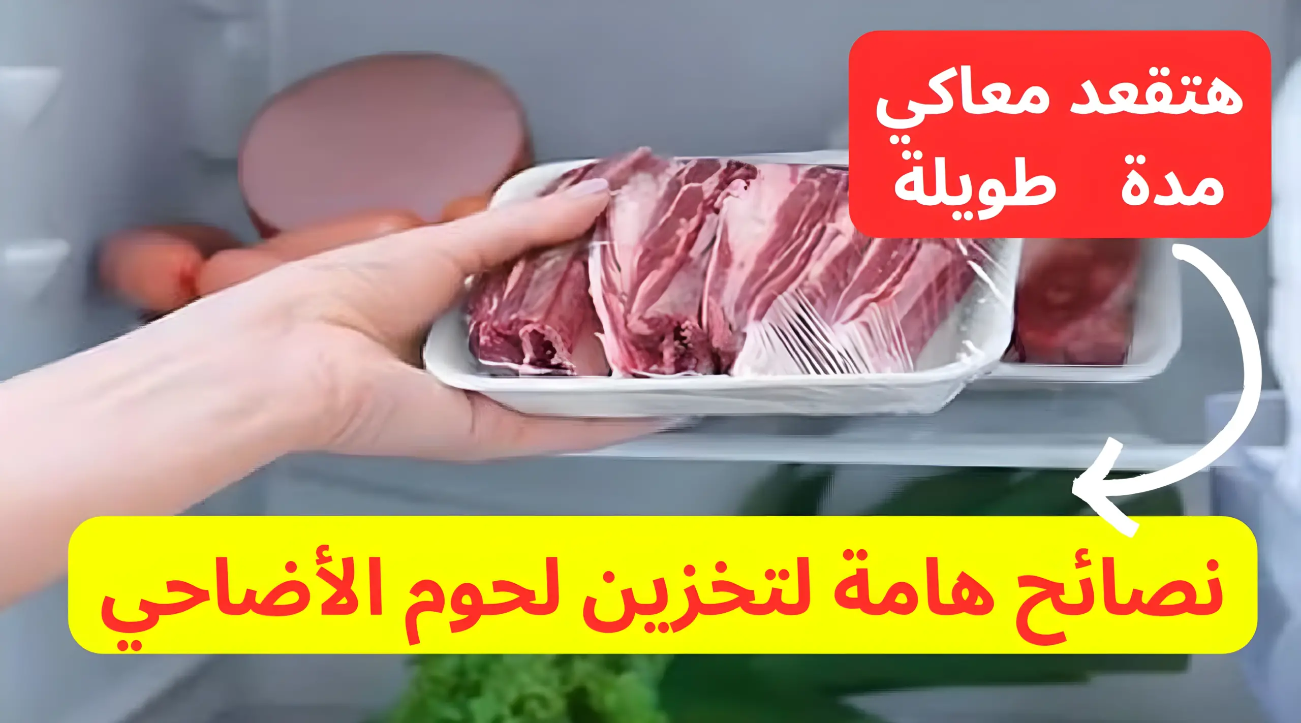 نصائح هامة لتخزين لحوم الأضاحي