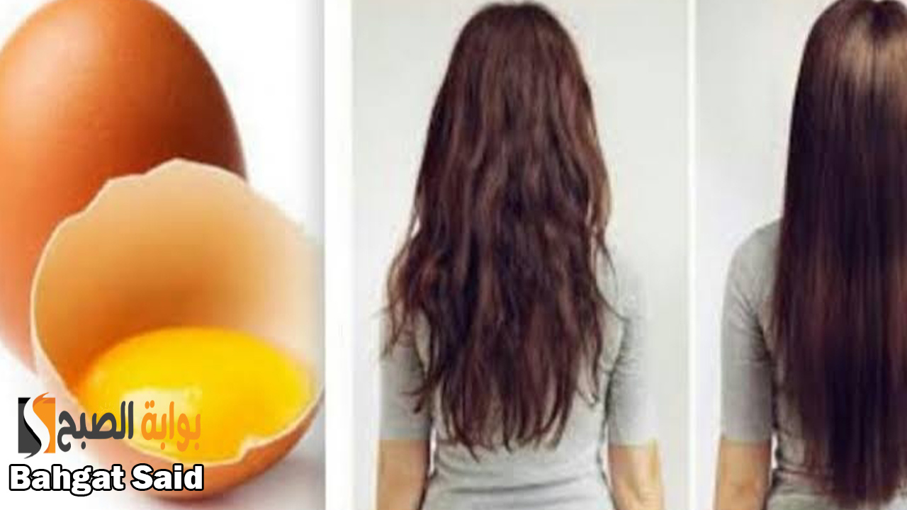 وصفات وقف تساقط الشعر