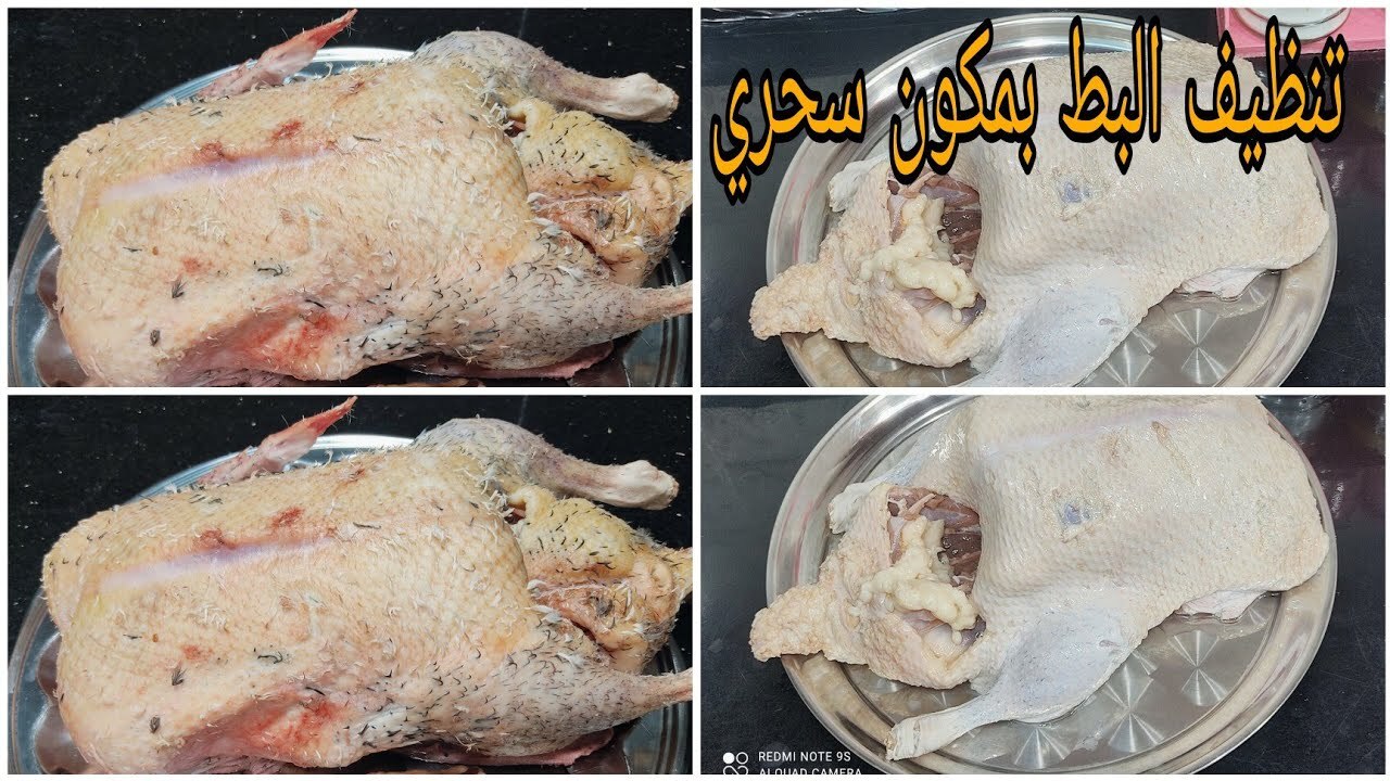 وصفة تنظيف الفراخ والبطة