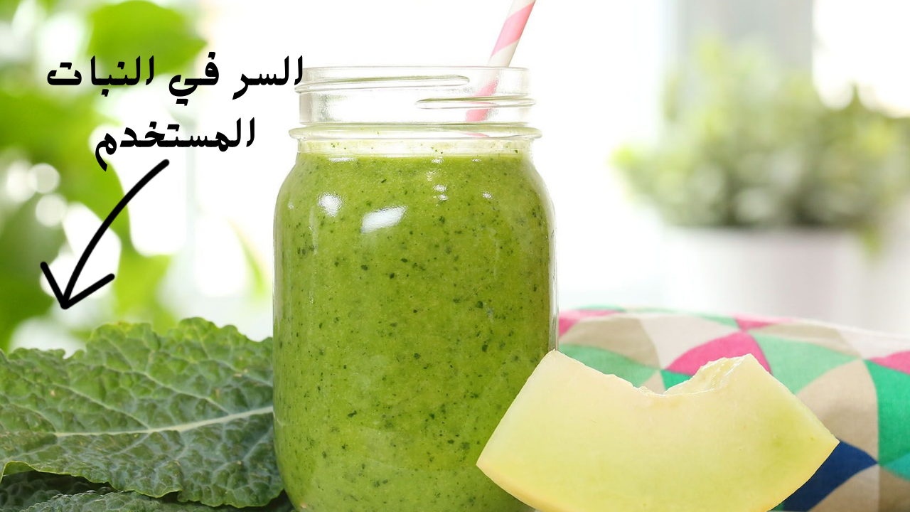 صوص النعناع