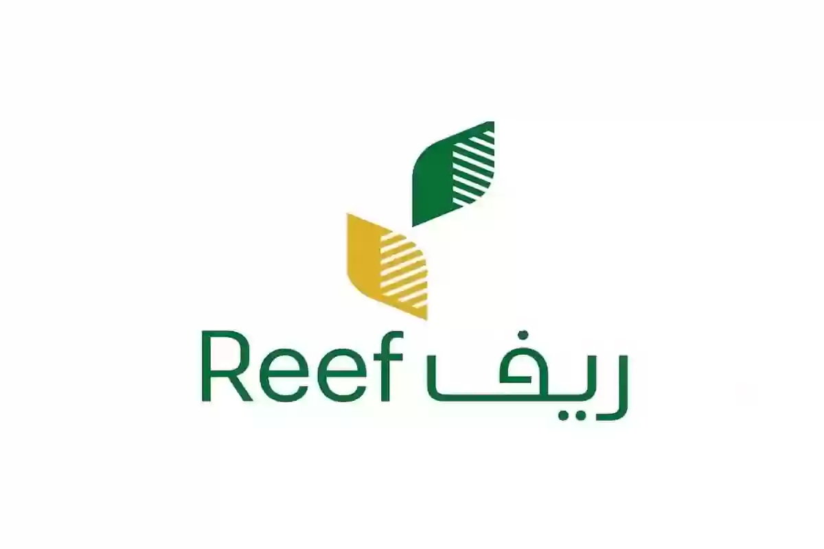 دعم ريف