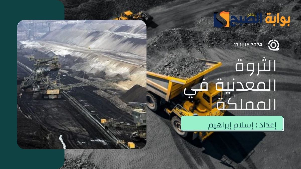 ما هي القيمة التقديرية للثروة المعدنية