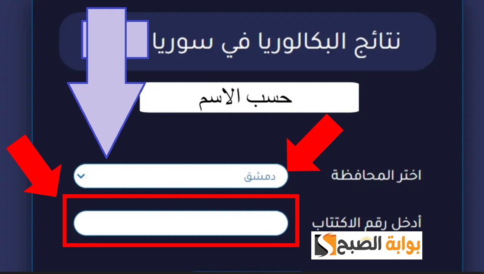 نتائج البكالوريا 2024