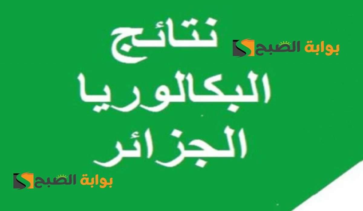 فضاء الاولياء نتائج البكالوريا 2024