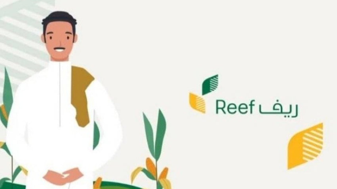 كم يبلغ دعم ريف للعاطلين