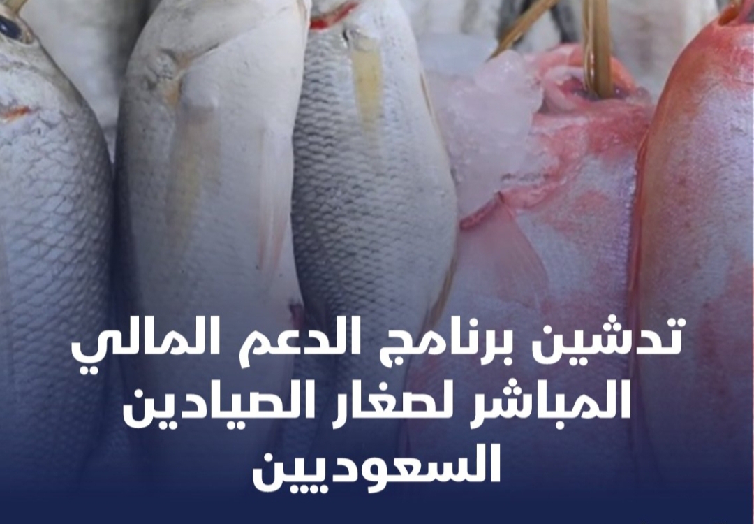 IMG ٢٠٢٤٠٧١٤ ٢١٠٤٢٠