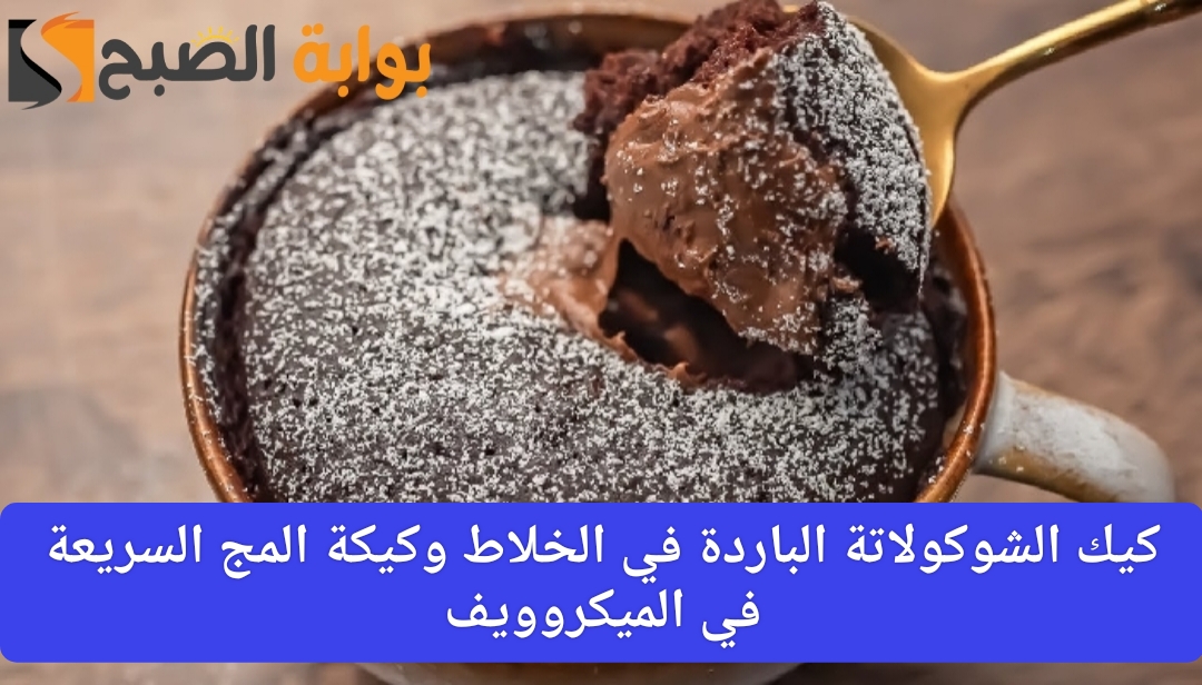 كيك الشوكولاتة
